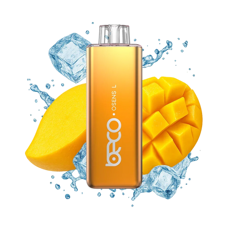 Beco Slim Hybrid 10k